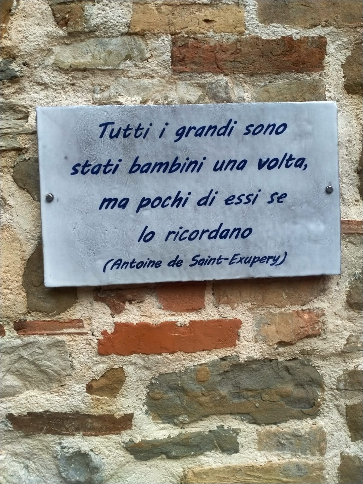 Immagine WhatsApp 2024-12-22 ore 20.54.49_dff738cf
